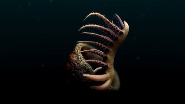 500 million year old lobopodian - Sputnik International