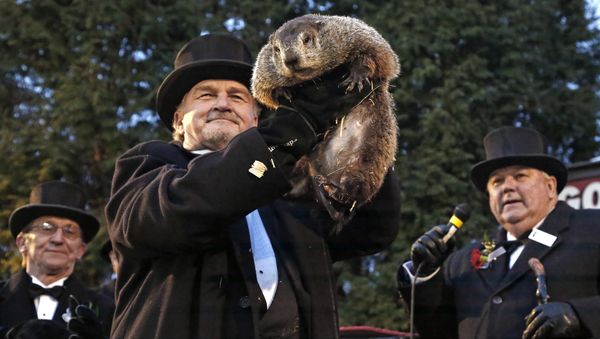 Groundhog Club handler John Griffiths, center, holds Punxsutawney Phil, the weather prognosticating groundhog, during the 131st celebration of Groundhog Day on Gobbler's Knob in Punxsutawney - Sputnik International