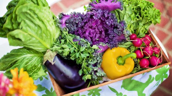 Vegetables Vegetables - Sputnik International