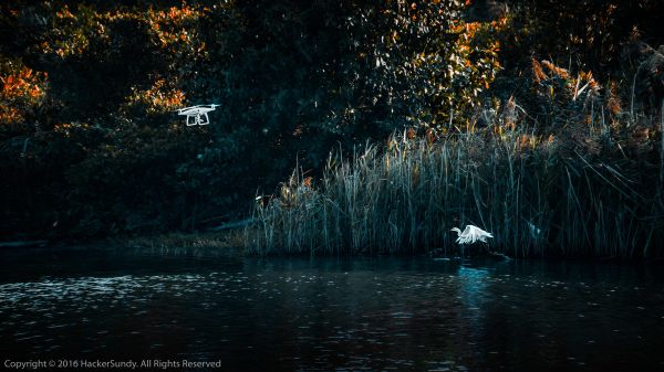 Best Aerial Shots of SkyPixel Photo Contest 2016 - Sputnik International