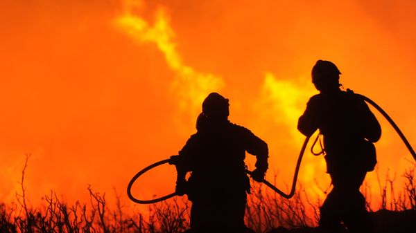 Firefighters, Spain - Sputnik International