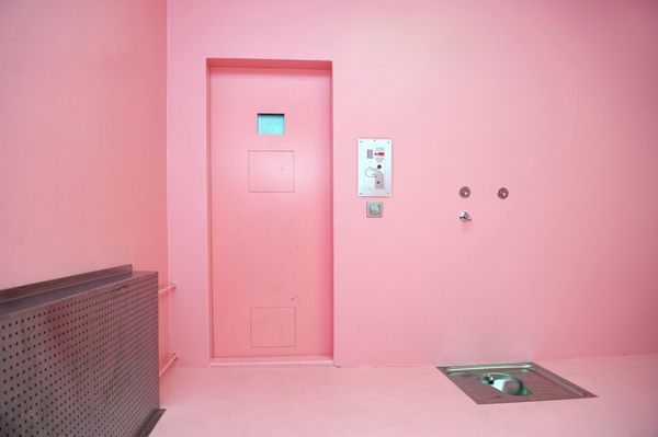 A cell in Cool Down Pink - Sputnik International