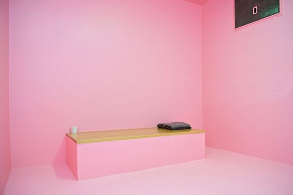 A cell in Cool Down Pink - Sputnik International