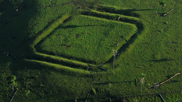 Geometric glyphs discovered in the Amazon. This one depicts a diamond. - Sputnik International