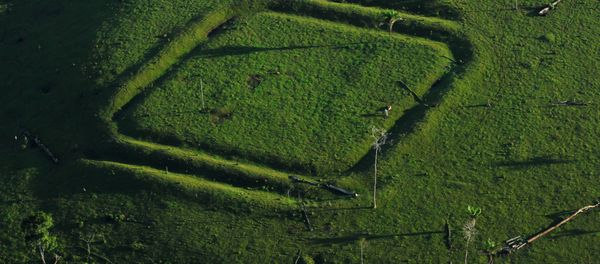 Geometric glyphs discovered in the Amazon. This one depicts a diamond. Geometric glyphs discovered in the Amazon. This one depicts a diamond. - Sputnik International