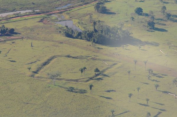 Geometric glyphs discovered in the Amazon. The impressive size of some of the glyphs can be seen in aerial photography. Geometric glyphs discovered in the Amazon. The impressive size of some of the glyphs can be seen in aerial photography. - Sputnik International