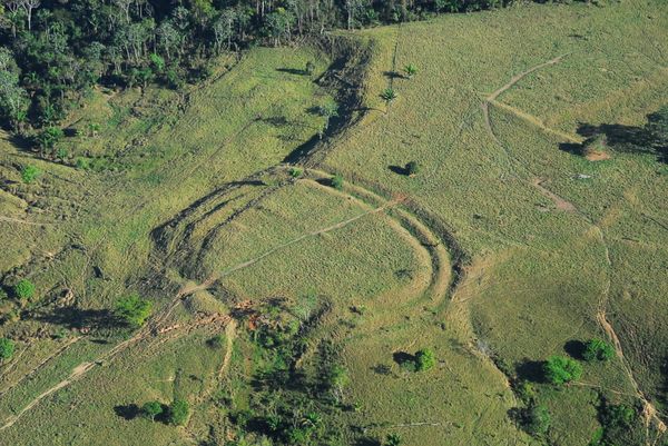 Geometric glyphs discovered in the Amazon. The area was recently deforested. Geometric glyphs discovered in the Amazon. The area was recently deforested. - Sputnik International