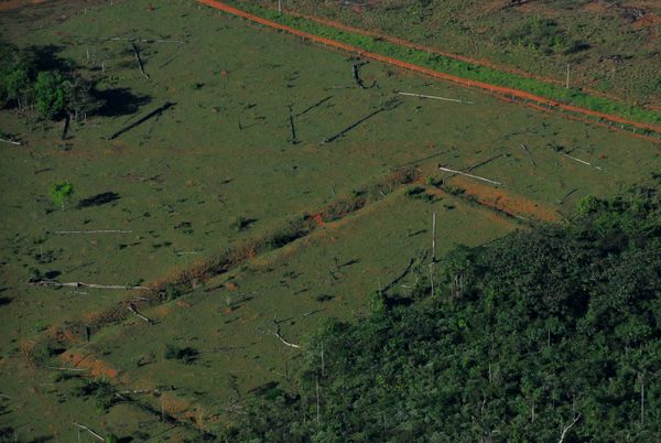 Geometric glyphs discovered in the Amazon. The deforestation only revealed about half of this glyph. Geometric glyphs discovered in the Amazon. The deforestation only revealed about half of this glyph. - Sputnik International