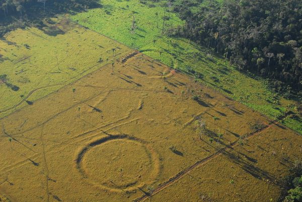 Geometric glyphs discovered in the Amazon. Ancient peoples constructed them, possibly for ritualistic purposes. Geometric glyphs discovered in the Amazon. Ancient peoples constructed them, possibly for ritualistic purposes. - Sputnik International