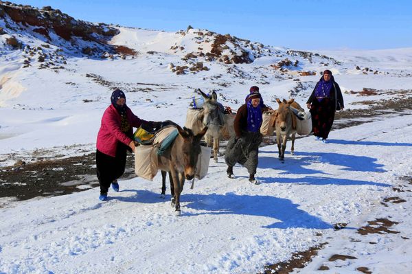 Donkeys of Güvercin help residents carry water - Sputnik International