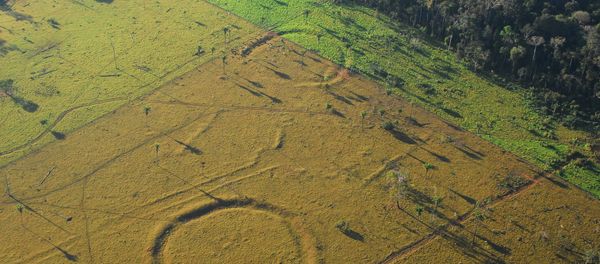 450 'henge' earthworks resembling Stonehenge found in Amazon rainforest using drones. 450 'henge' earthworks resembling Stonehenge found in Amazon rainforest using drones. - Sputnik International