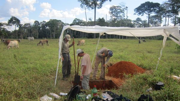 Research team digging one of the soil pits. - Sputnik International