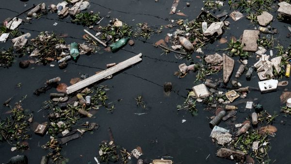 Waste - Sputnik International