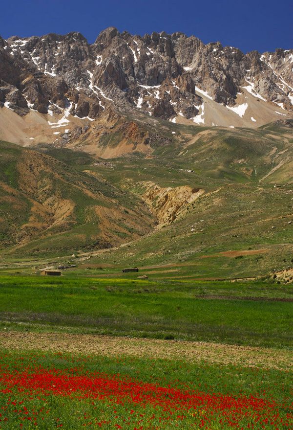 Take a Virtual Tour of Picturesque Northern Iran - Sputnik International