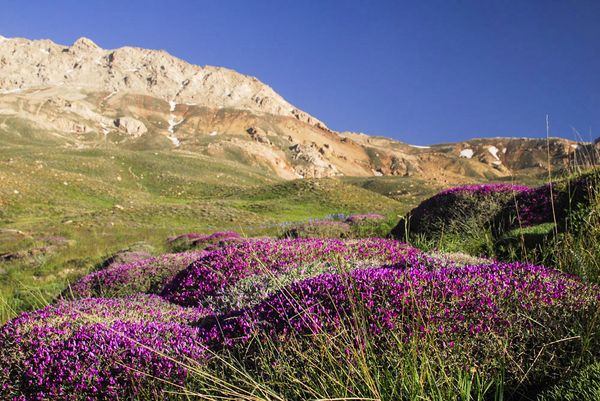 Take a Virtual Tour of Picturesque Northern Iran - Sputnik International