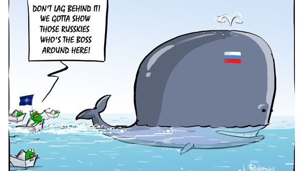 A Fearmonger's Flotilla - Sputnik International
