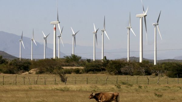 Wnd farm project in La Ventosa, Mexico, located on the narrow isthmus between the Gulf of Mexico and the Pacific Ocean (File) Wnd farm project in La Ventosa, Mexico, located on the narrow isthmus between the Gulf of Mexico and the Pacific Ocean (File) - Sputnik International
