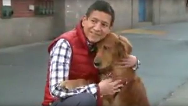 Cutest Dog Ever Gives Free Hugs To Strangers In New York City - Sputnik International