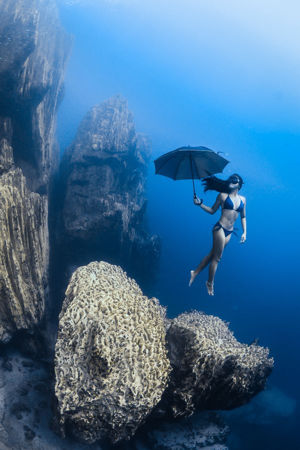Underwater Photographer of the Year Winners Show Aquatic Beauty Across the Globe - Sputnik International