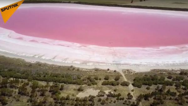 Pink Lake in Australia - Sputnik International