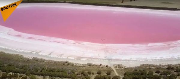 Pink Lake in Australia Pink Lake in Australia - Sputnik International