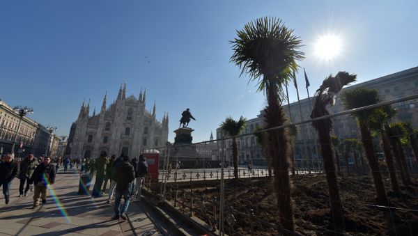 People walk past newly planted palm trees in an area near Italy's landmark, the Milan Cathedral, at the Piazza del Duomo in Milan on February 16, 2017 People walk past newly planted palm trees in an area near Italy's landmark, the Milan Cathedral, at the Piazza del Duomo in Milan on February 16, 2017 - Sputnik International