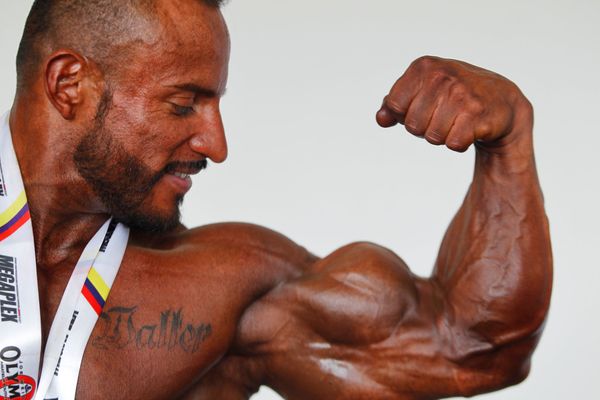 Chiseled Olympian Gods of Colombia's First International Bodybuilding Contest Chiseled Olympian Gods of Colombia's First International Bodybuilding Contest - Sputnik International