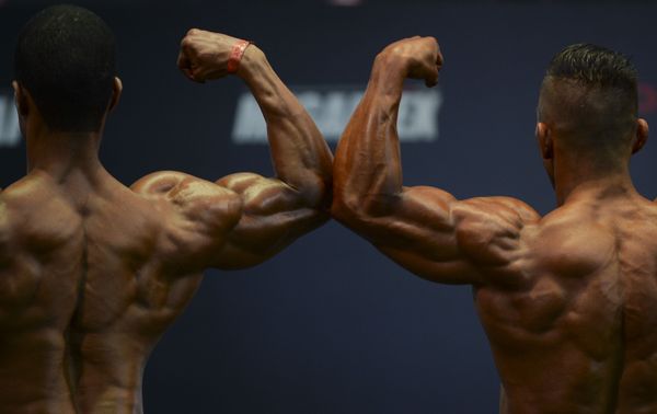 Chiseled Olympian Gods of Colombia's First International Bodybuilding Contest Chiseled Olympian Gods of Colombia's First International Bodybuilding Contest - Sputnik International