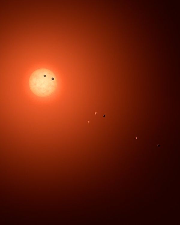 This is an artist’s impression of the TRAPPIST-1 system, showcasing all seven planets in various phases. This is an artist’s impression of the TRAPPIST-1 system, showcasing all seven planets in various phases. - Sputnik International
