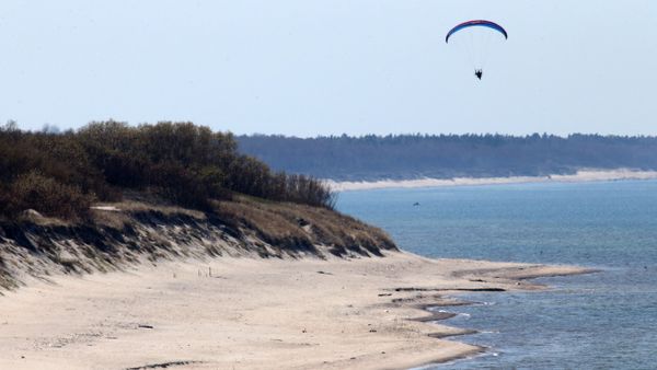 Paragliders patrol on Curonian Spit - Sputnik International