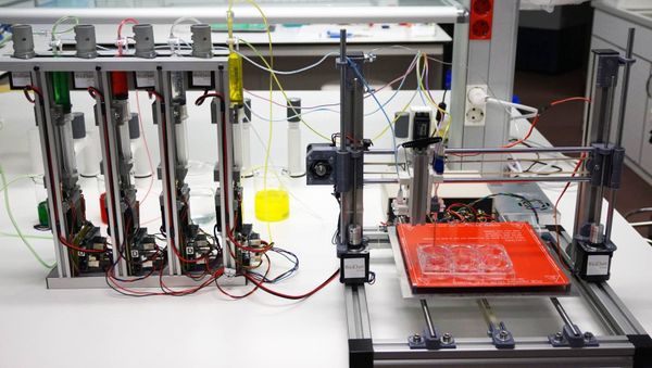 The prototype of a 3D bioprinter that can generate functional human skin has been developed by Spanish scientists - Sputnik International