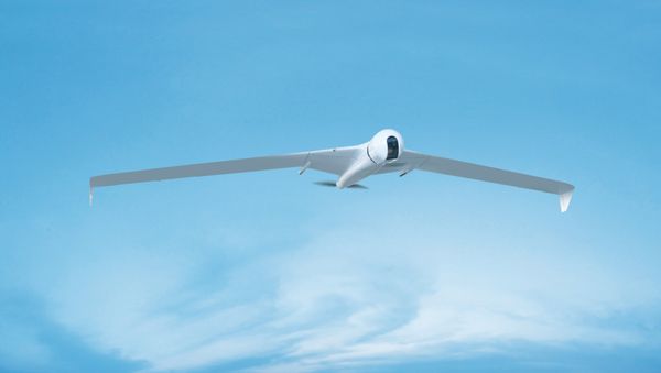 The ZALA 421-16Е2 drone - Sputnik International