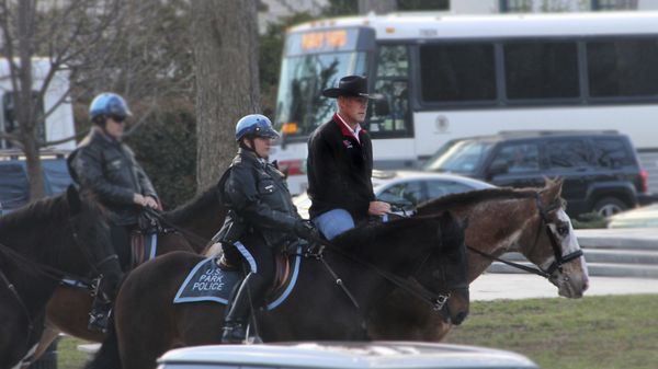 Interior Secretary Ryan Zinke arriving for his first day of work at the Interior Department in Washington, Thursday, March 2, 2017, aboard Tonto, an 17-year-old Irish sport horse - Sputnik International