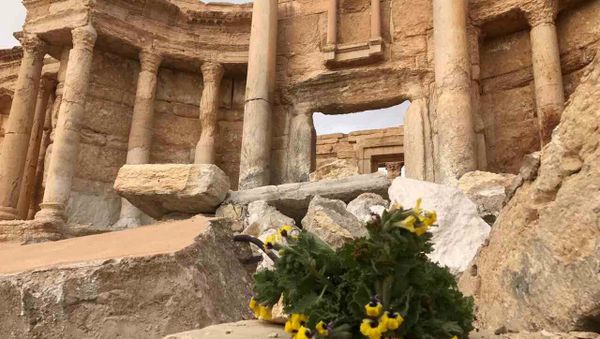 Palmyra recaptured by Syrian Arab Army backed by Russian Air Force Palmyra recaptured by Syrian Arab Army backed by Russian Air Force - Sputnik International