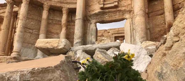 Palmyra recaptured by Syrian Arab Army backed by Russian Air Force Palmyra recaptured by Syrian Arab Army backed by Russian Air Force - Sputnik International