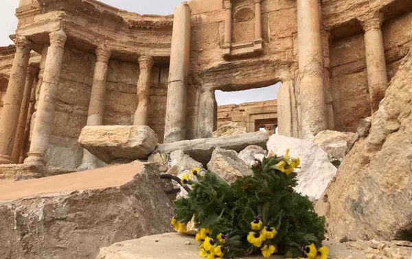 Palmyra liberated. Palmyra liberated. - Sputnik International
