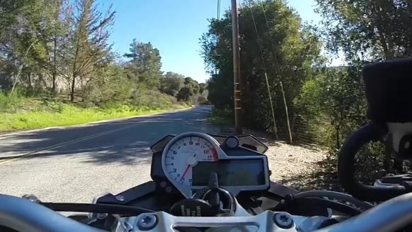 S1000R near misses deer - Sputnik International