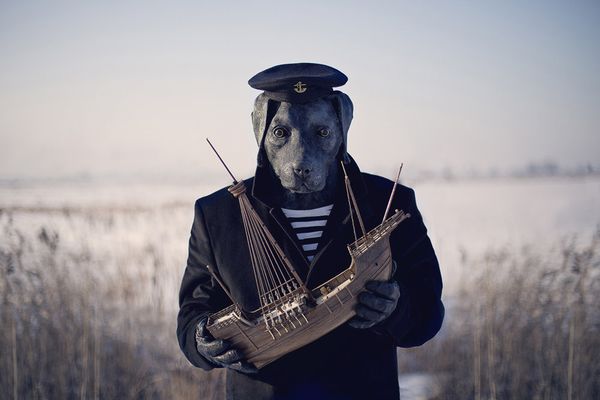 Sea Wolf - Sputnik International