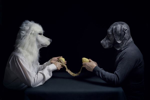 Potato Lovers - Sputnik International