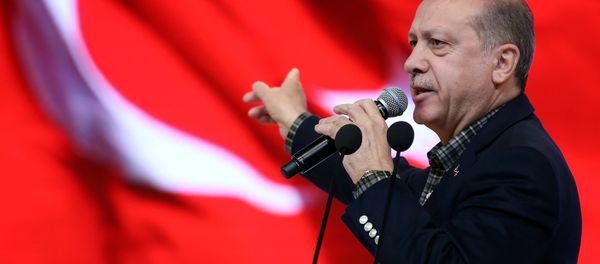 Turkish President Erdogan makes a speech during a meeting in Istanbul Turkish President Erdogan makes a speech during a meeting in Istanbul - Sputnik International