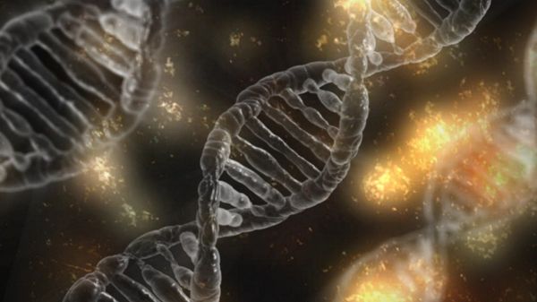 DNA - Sputnik International