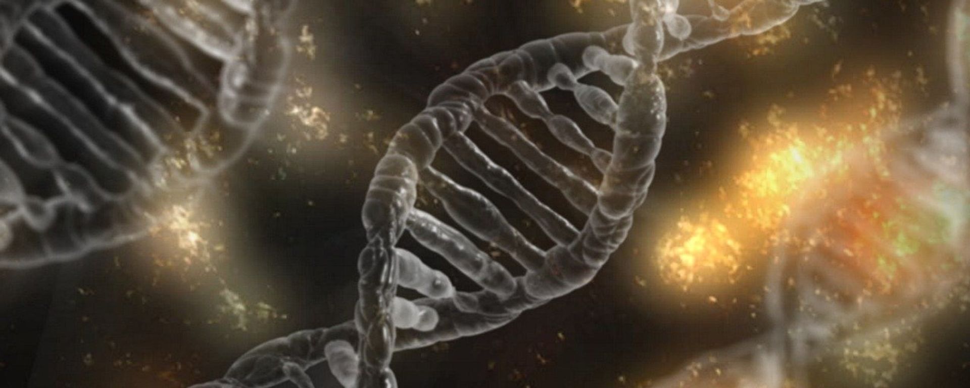 DNA DNA - Sputnik International, 1920, 17.02.2022