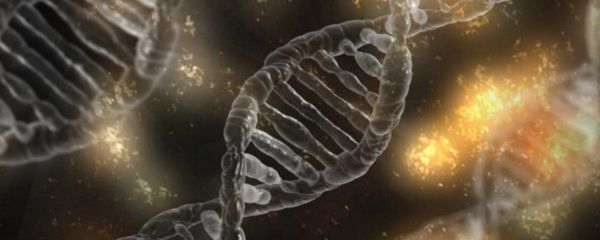 DNA - Sputnik International