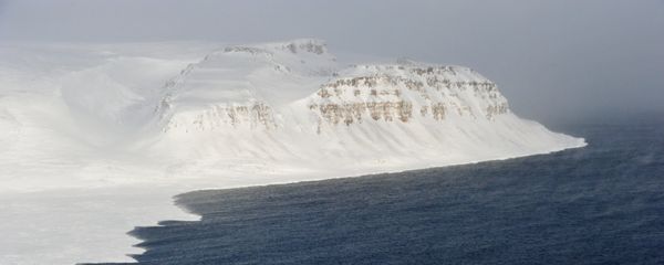 Coastline of the Franz Josef Land archipelago. Coastline of the Franz Josef Land archipelago. - Sputnik International