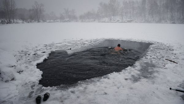 Ice swimmer - Sputnik International