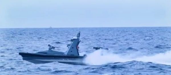 Protector at sea - Sputnik International