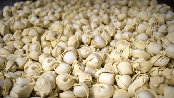Pelmeni production facility in St. Petersburg - Sputnik International