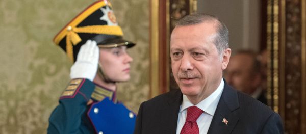 March 10, 2017. President of Turkey Recep Tayyip Erdogan arrives at a meeting with President Vladimir Putin before the sixth meeting of the High-Level Russian-Turkish Cooperation Council March 10, 2017. President of Turkey Recep Tayyip Erdogan arrives at a meeting with President Vladimir Putin before the sixth meeting of the High-Level Russian-Turkish Cooperation Council - Sputnik International