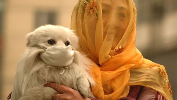 A woman with a voile over her head puts on a face mask to her little dog. China (File) - Sputnik International