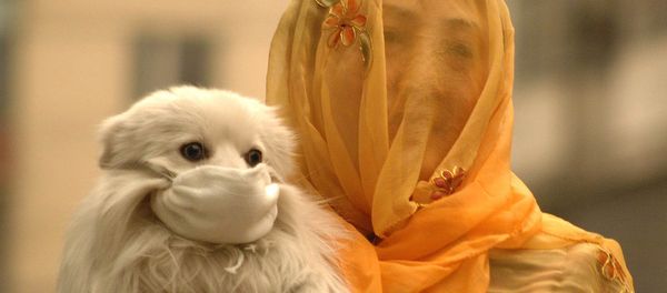 A woman with a voile over her head puts on a face mask to her little dog. China (File) - Sputnik International